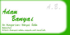 adam banyai business card